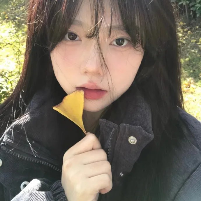 洋槐